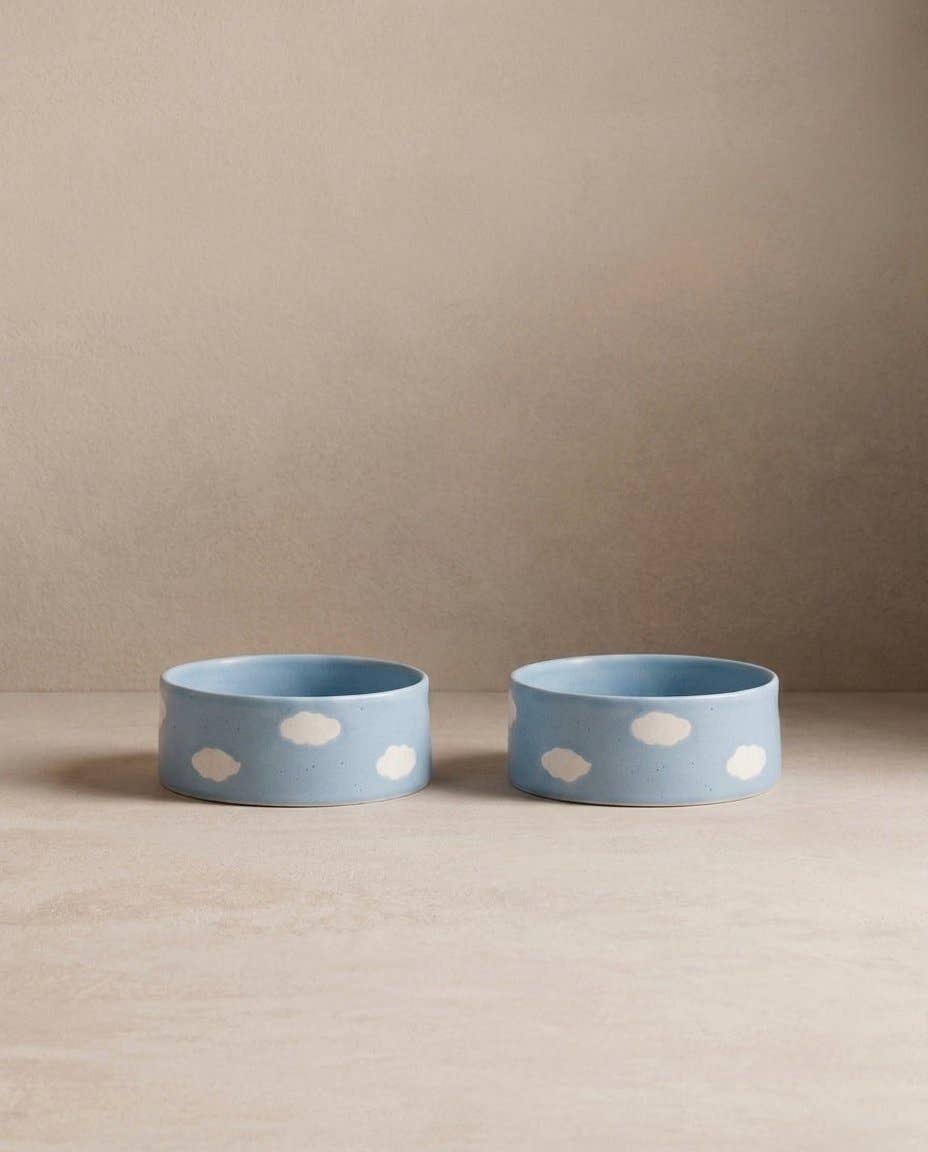 Lot de 2 bols pour animaux Cloud 14 cm