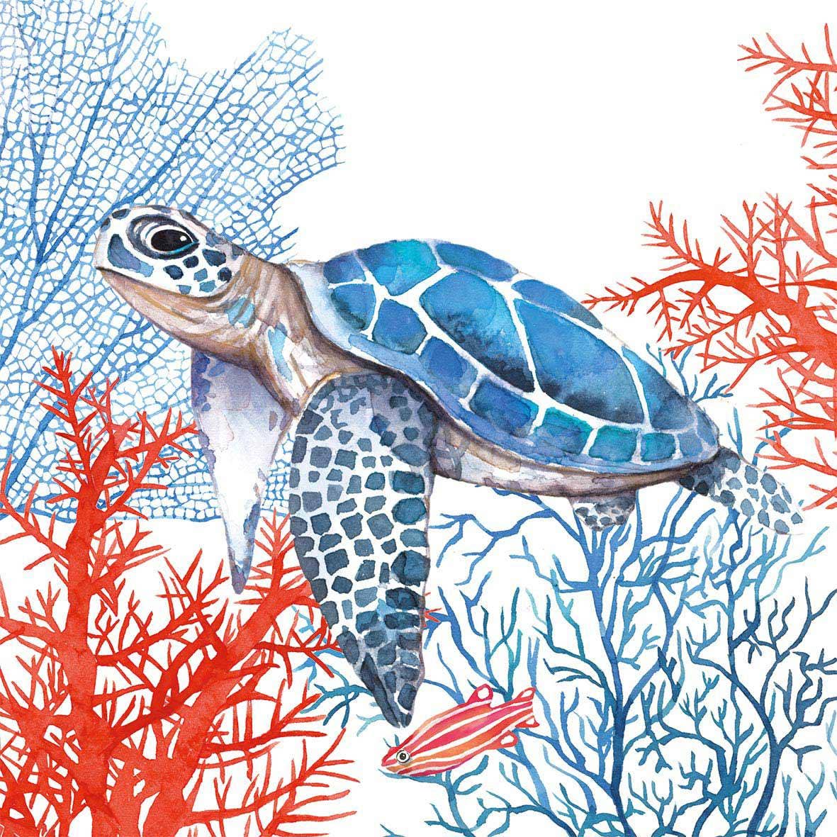 La Serviette Tortue 33x33