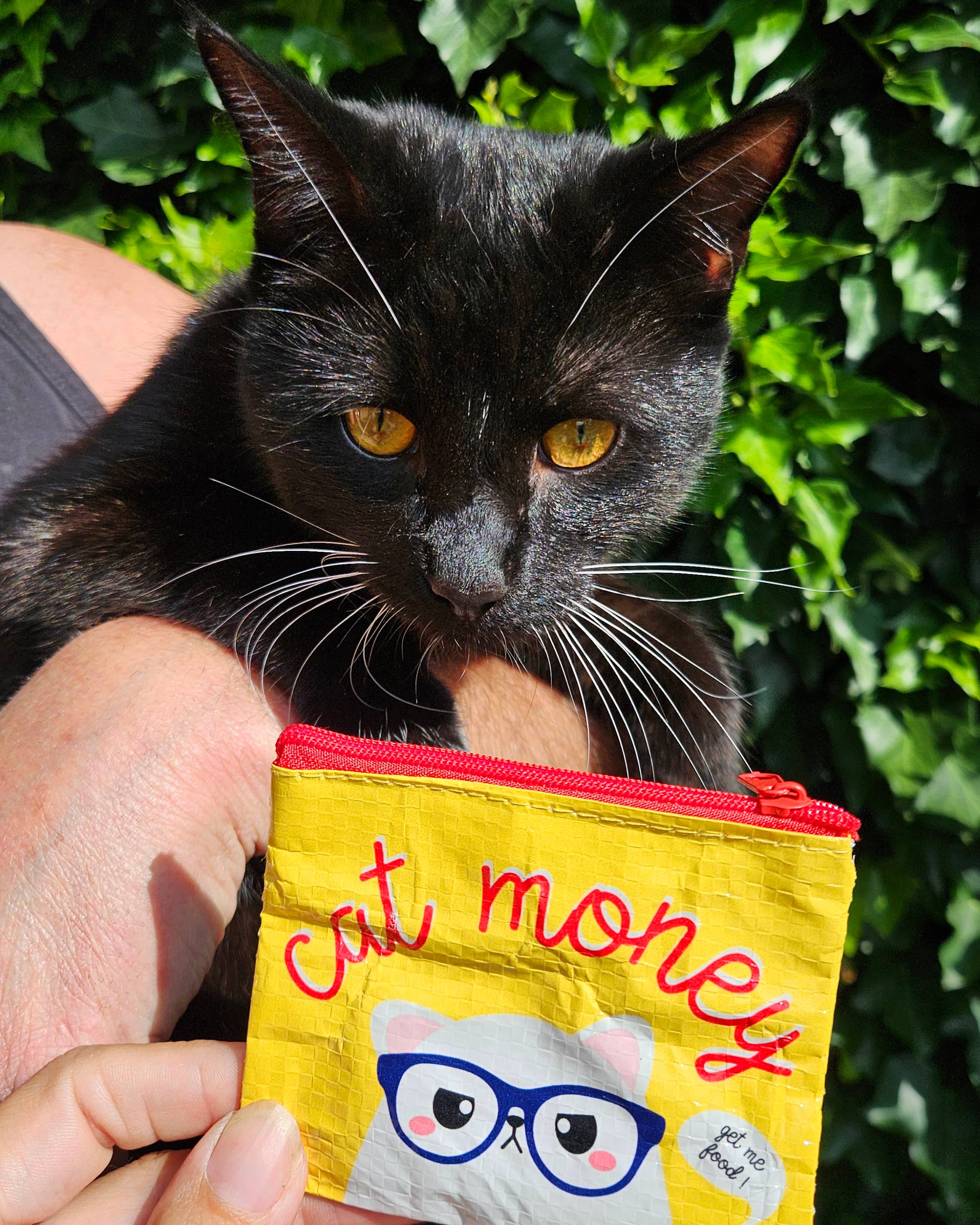Porte-monnaie jaune « Cat Money » en plastique recyclé