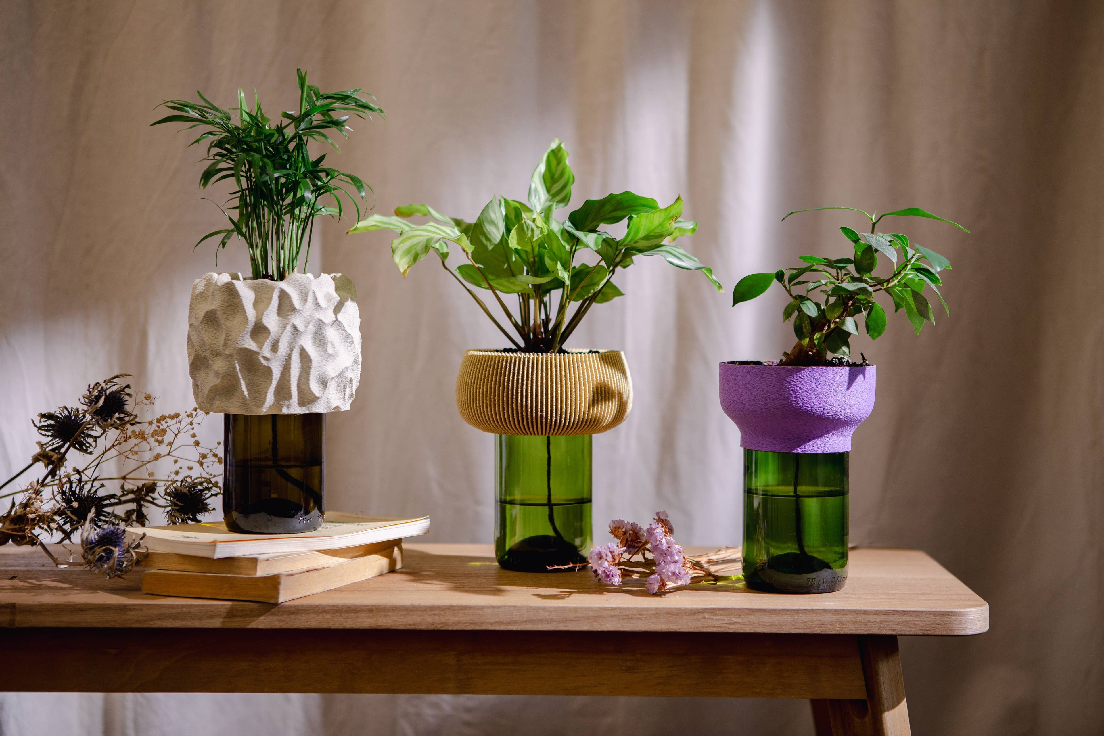 Pot de fleur autonome - Bulbu
