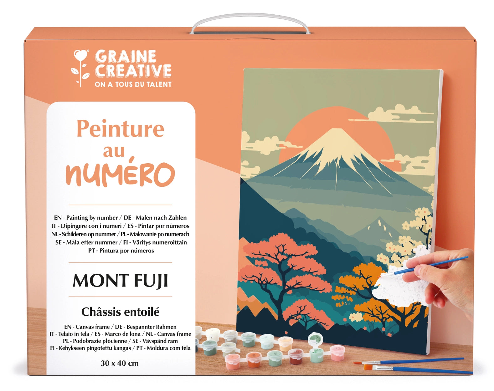 PEINTURE AU NUMERO 30 x 40 - Mont Fuji