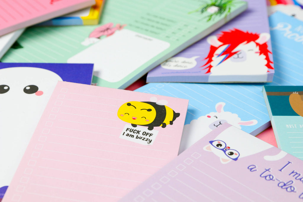 Bloc-notes Grumpy Cat 10 x 21 cm pour listes à faire
