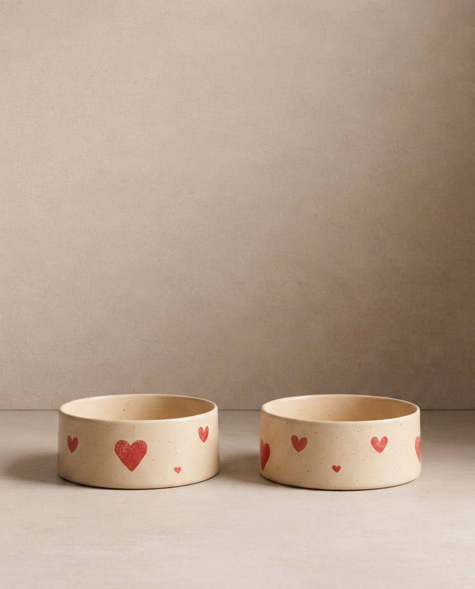 Ensemble de 2 bols pour animaux en grès Cozy Hearts 14 cm