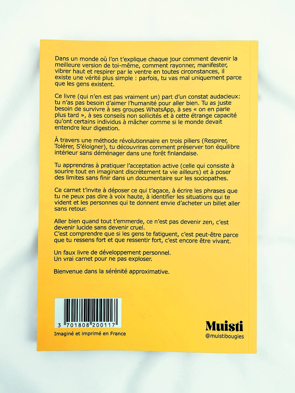Carnet / Faux Livre - Aller bien quand tout t'emmerde (surtout les gens)