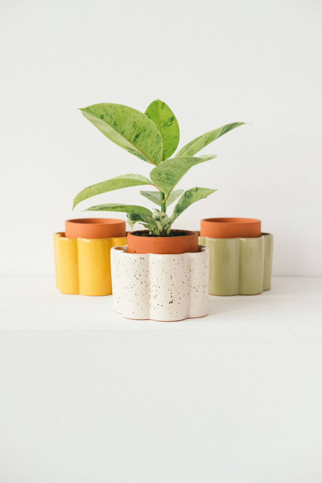 Pot auto-arrosant Paulita (S) - Vert sauge