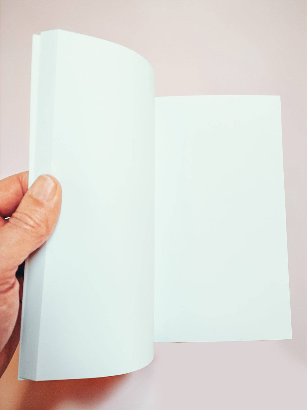 Carnet / Faux Livre - Peut-on encore tutoyer ses enfants ?