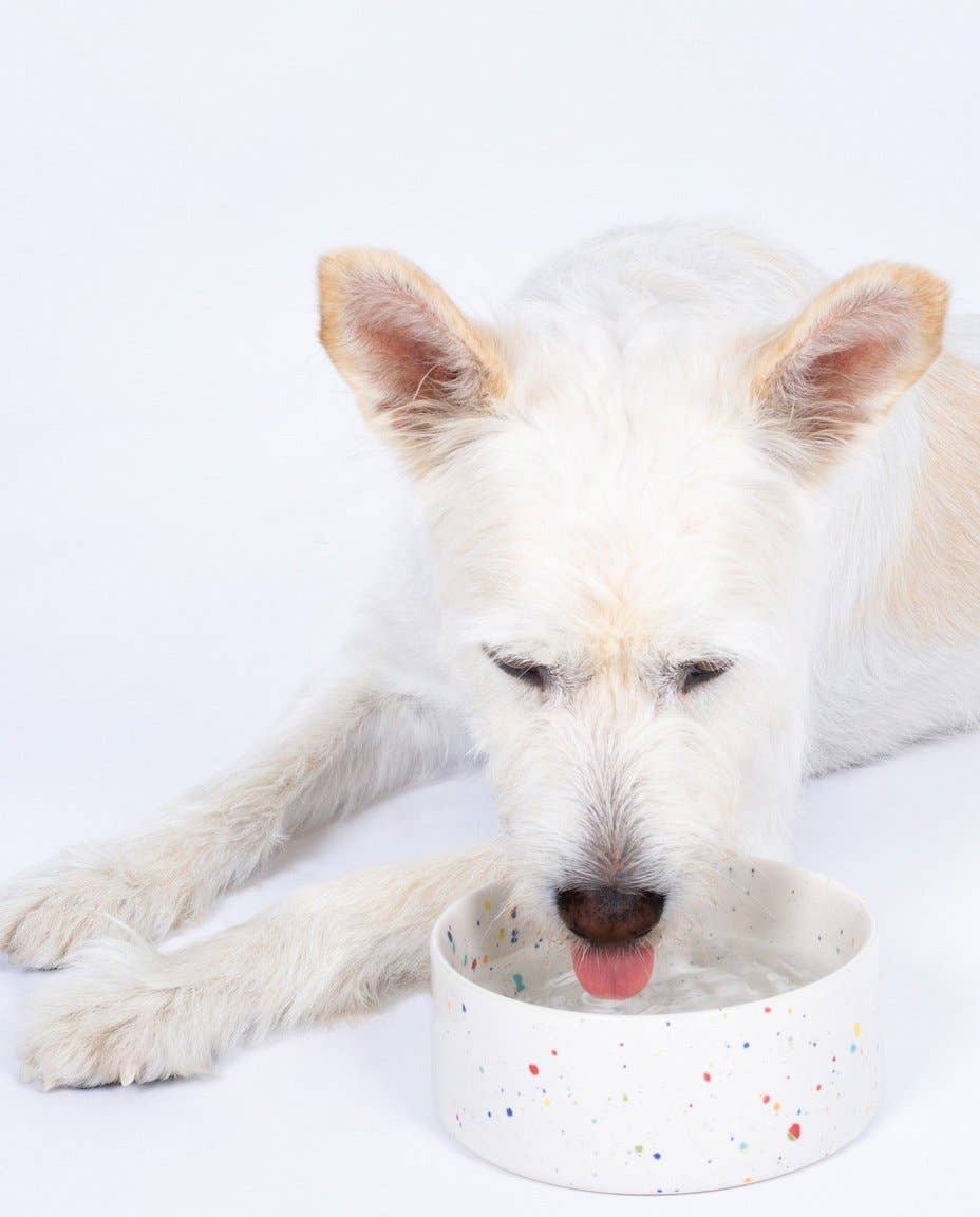 Nouveau lot de 2 gamelles pour animaux de fête 14 cm blanc