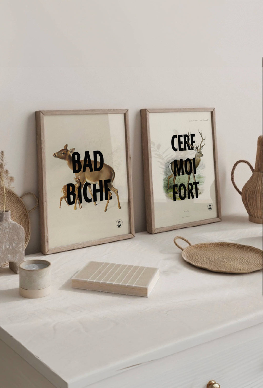 Affiche | Bad Biche | Poster Graphique Et Vintage: L - 30x40cm