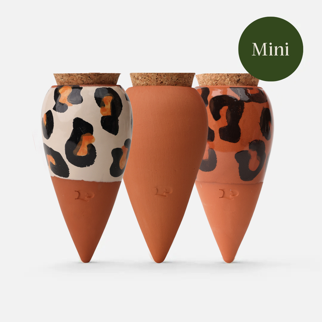 Coffret Trio Mini Ollas - les Léopards