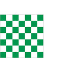 Serviette verte à damier 25 x 25 cm