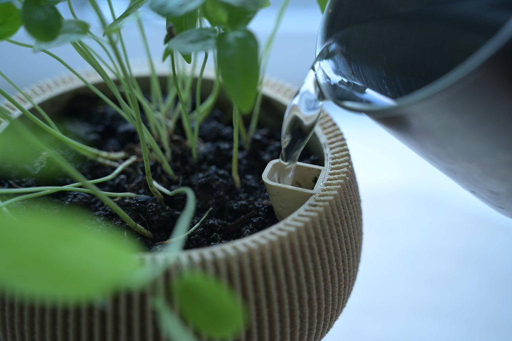 Pot de fleur autonome - Zini