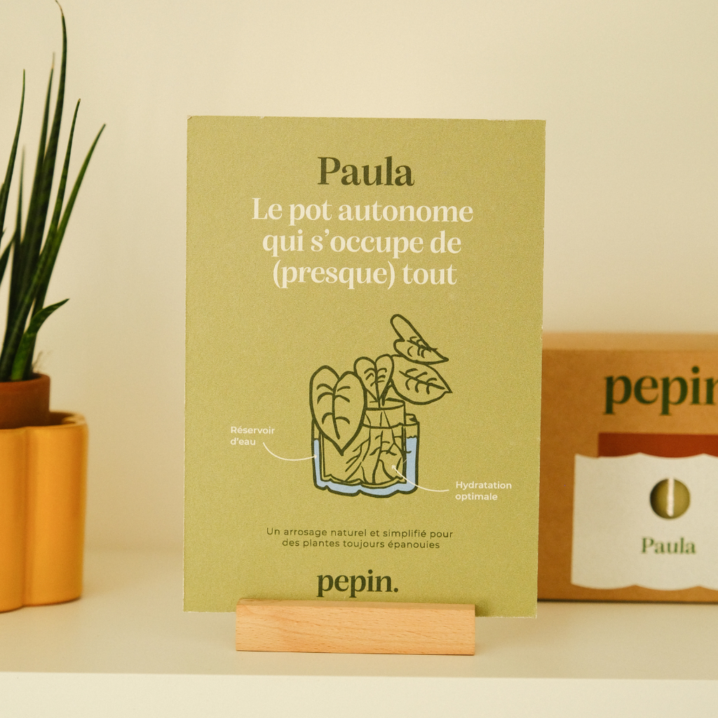 Pot autonome Paula (M) - Blanc grainé