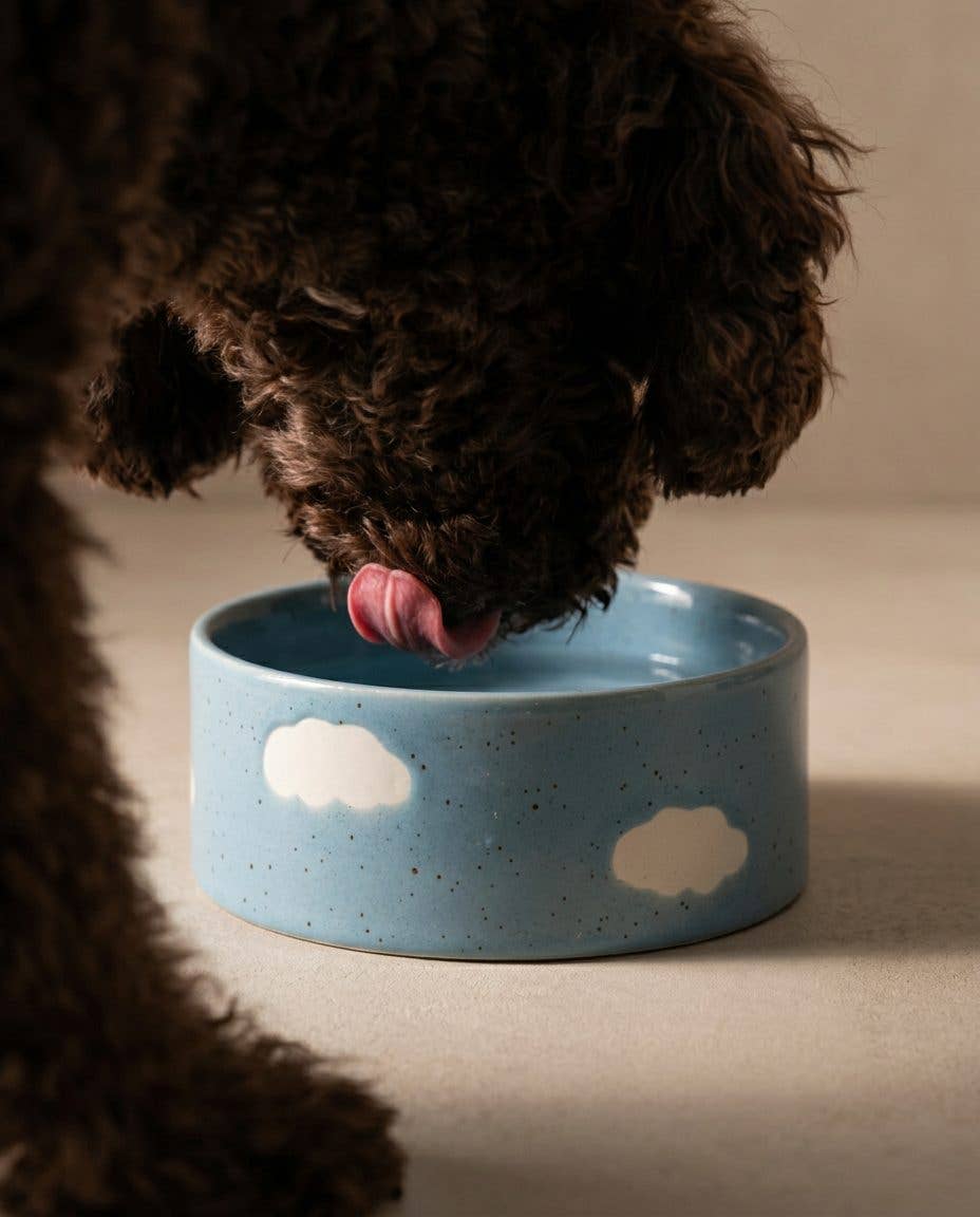Lot de 2 bols pour animaux Cloud 14 cm