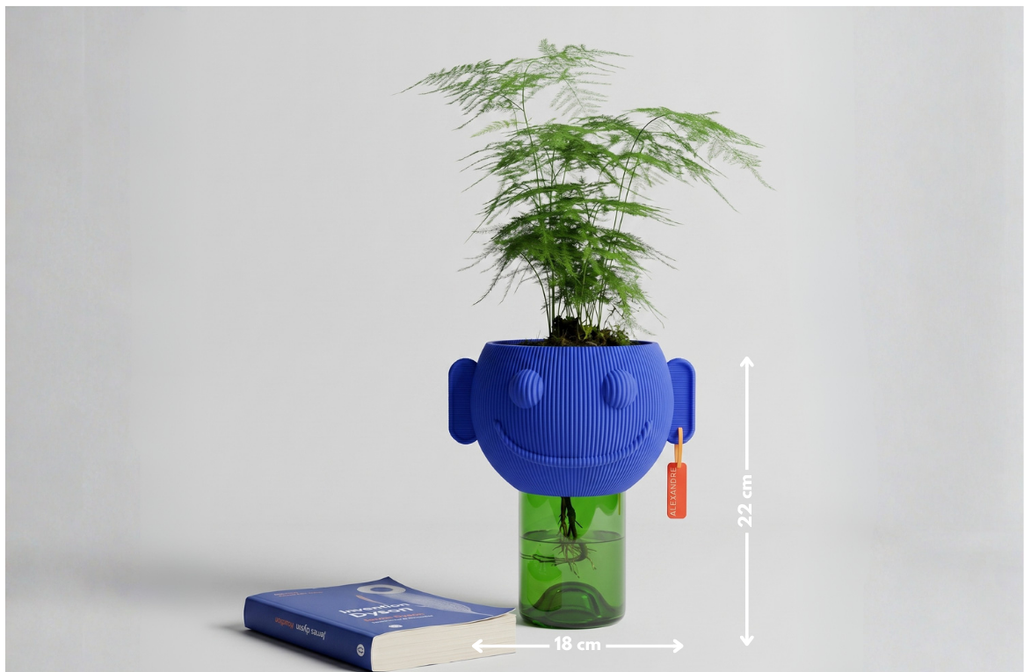 Pot de fleur autonome - Monsieur Majorelle