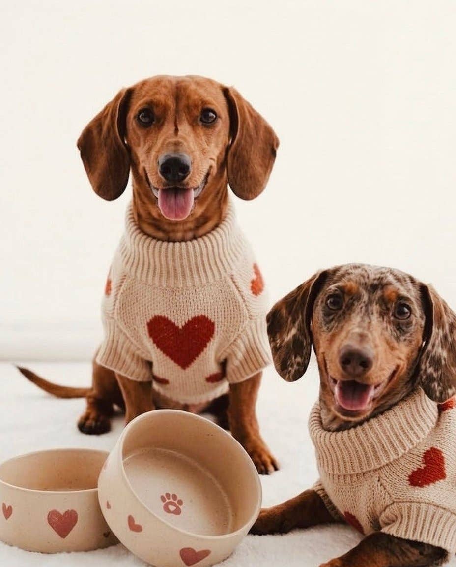 Ensemble de 2 bols pour animaux en grès Cozy Hearts 14 cm