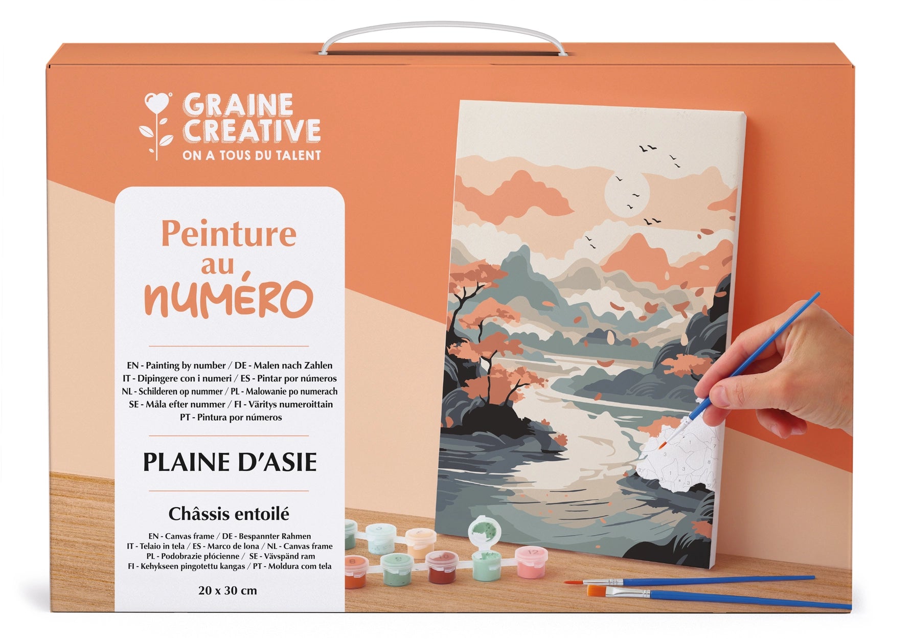 PEINTURE AU NUMERO 20 x 30 - Plaine d'Asie