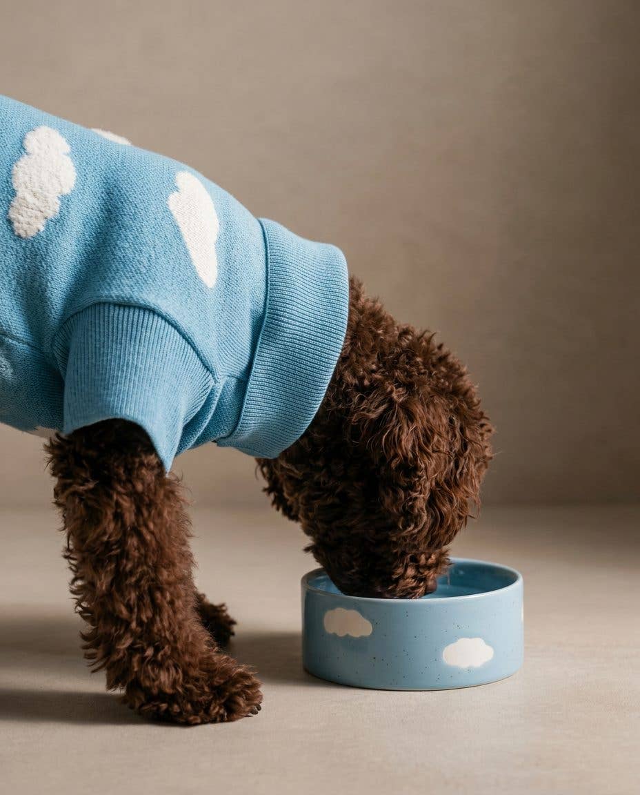 Lot de 2 bols pour animaux Cloud 14 cm