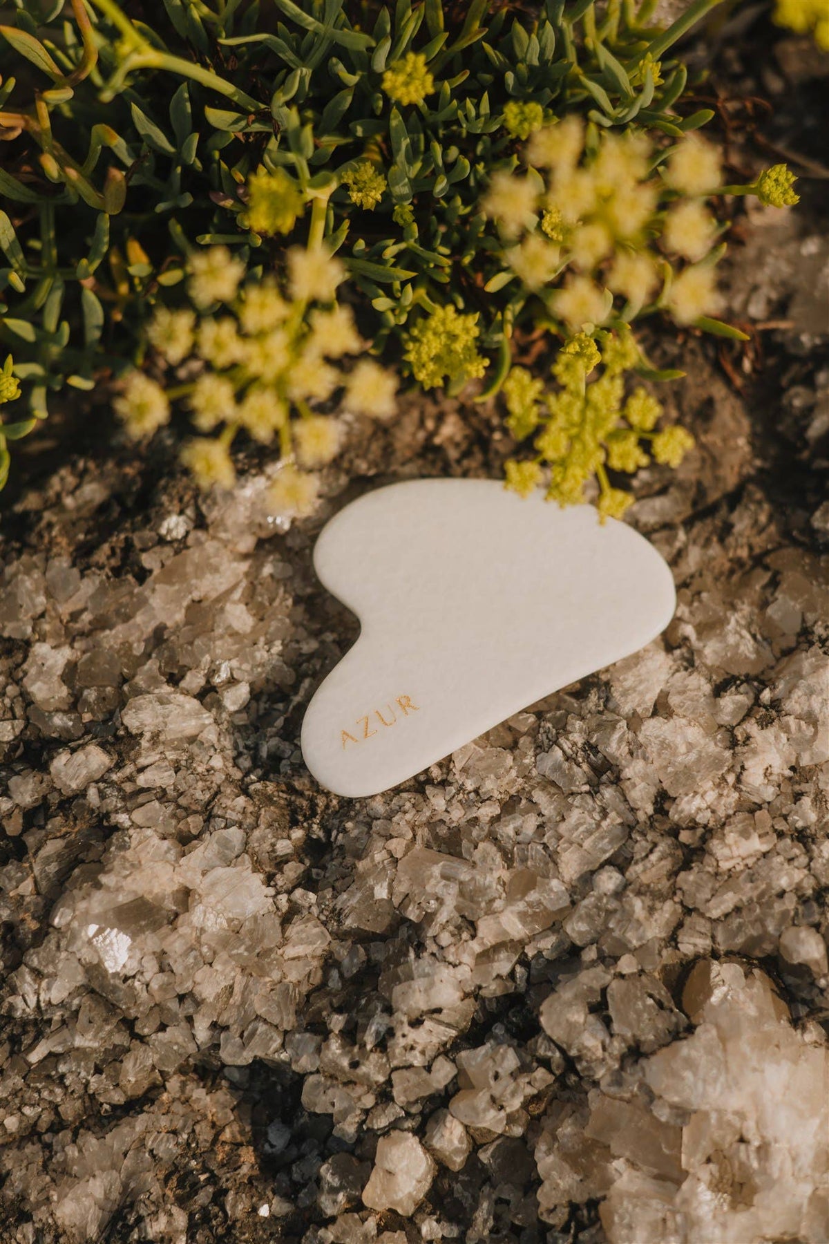Outil de massage facial Gua Sha en jade blanc